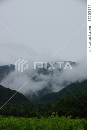 Misty Misty 57205523