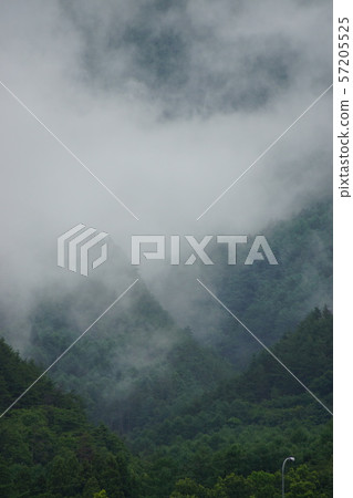 Misty Misty 57205525