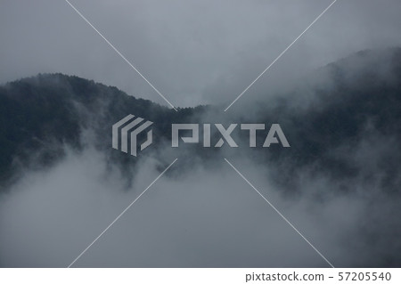 Misty Misty 57205540