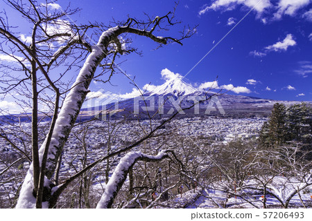 (Yamanashi Prefecture) Mt. Fuji seen from Asakura Park, which is covered with snow 57206493