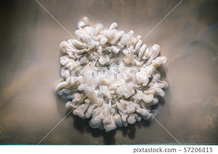 smoke puff background magic spell champagne silk smoke puff background magic spell champagne silk 57206815