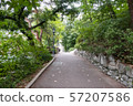 a pathway in summer 57207586