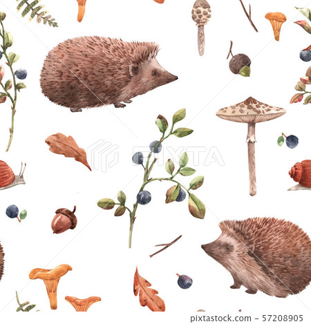 Watercolor autumn forest pattern Watercolor autumn forest pattern 57208905