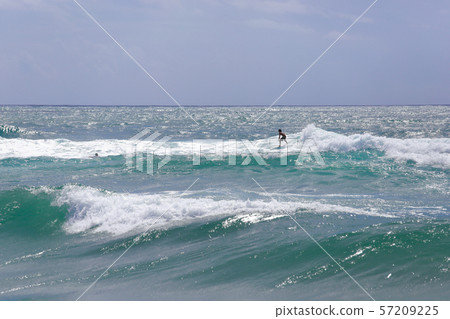 Surfing Surfing 57209225