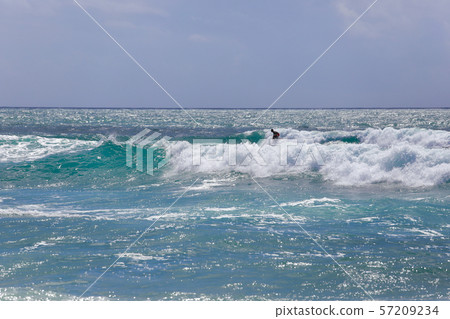 衝浪 衝浪 57209234