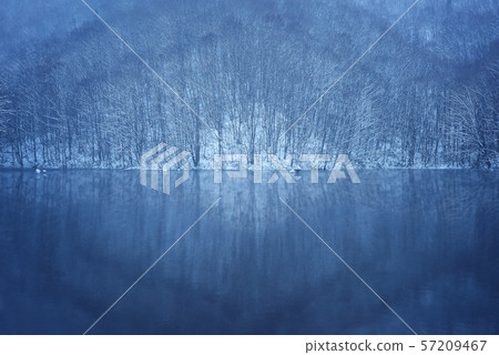 Kugenzawa沼澤在冬天 57209467