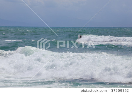 衝浪 57209562