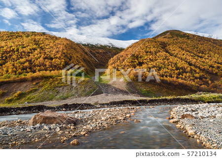 Autumn Landscape with a mountain river and birch Autumn Landscape with a mountain river and birch 57210134