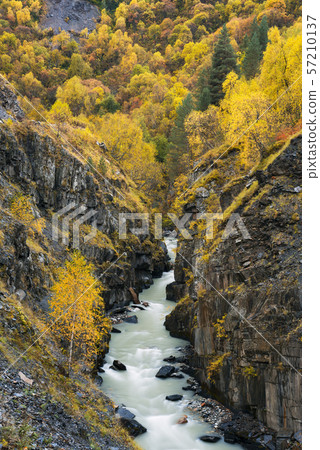 Autumn landscape with a river in a mountain gorge Autumn landscape with a river in a mountain gorge 57210137