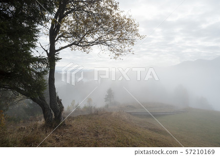 Autumn landscape with fog Autumn landscape with fog 57210169