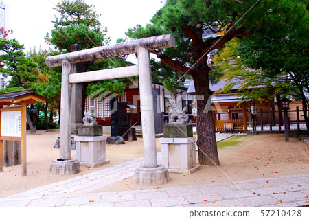 [Nagano] Autumn Matsumoto Nanatsu, the four pillar shrine 57210428