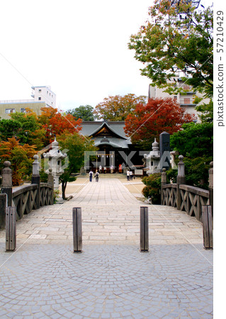 [Nagano] Autumn Matsumoto Miyuki Bridge overlooking the Four Pillars Shrine (vertical) 57210429
