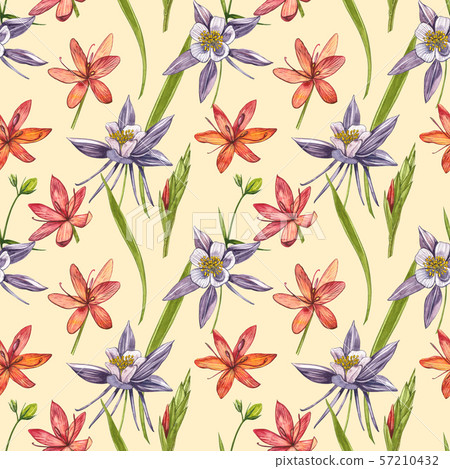 Kafir Lilies flowers. Seamless patterns. Collection of hand drawn flowers and plants. Botany. Set Kafir Lilies flowers. Seamless patterns. Collection of hand drawn flowers and plants. Botany. Set 57210432