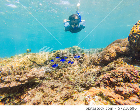 Man snorkeling underwater on a reef with soft coral and tropical fish 57210690
