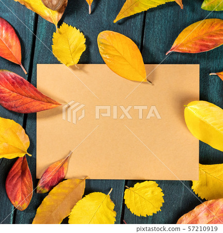 Autumn background with vibrant fall leaves with a card, a design template for a flyer, invitation 57210919
