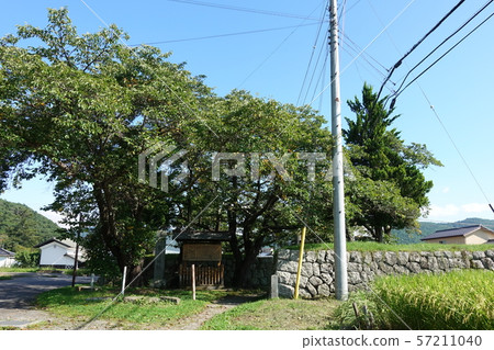 Tatsuoka Castle 57211040