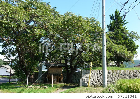 Tatsuoka Castle Tatsuoka Castle 57211041