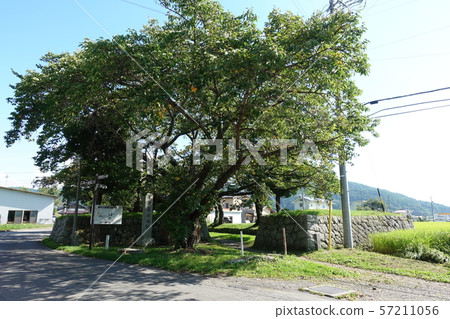 Tatsuoka Castle 57211056