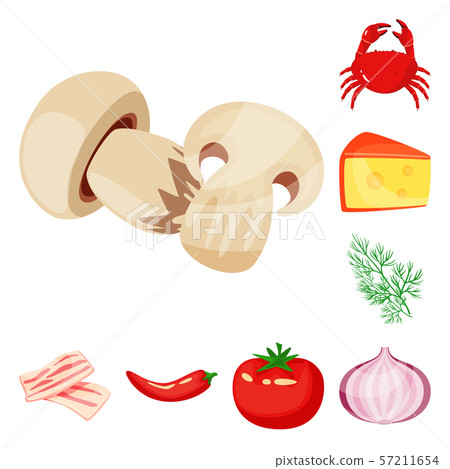 Vector illustration of food and flavors sign. Set of food and ingredient stock vector illustration. Vector illustration of food and flavors sign. Set of food and ingredient stock vector illustration. 57211654