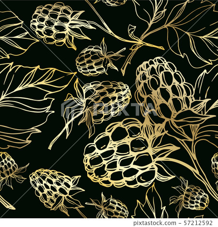 Vector Raspberry healthy food isolated. Black and white engraved ink art. Seamless background Vector Raspberry healthy food isolated. Black and white engraved ink art. Seamless background 57212592