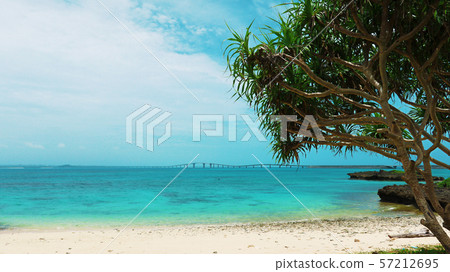 沖繩縣Irabe Island Irabe Ohashi 57212695