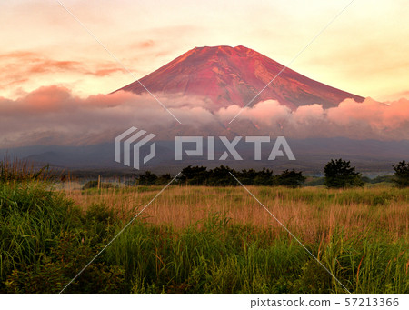 Red Fuji 57213366
