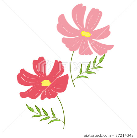 秋天例證波斯菊 秋天例證波斯菊 57214342