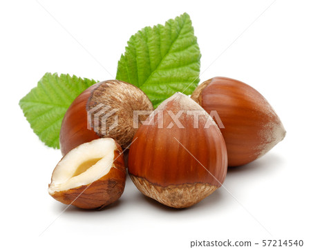 Group of hazelnuts with green leaves isolated Group of hazelnuts with green leaves isolated 57214540