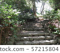 Fresh green and stone stairs (Hamamatsu Castle Park) Fresh green and stone stairs (Hamamatsu Castle Park) 57215804