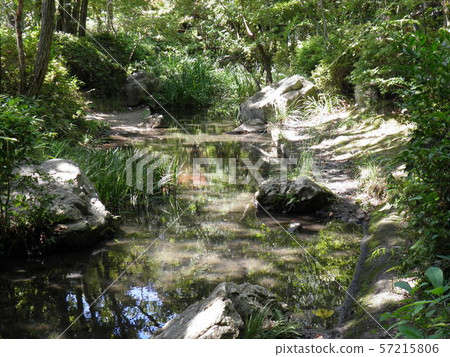 Brook in Hamamatsu Castle Park Brook in Hamamatsu Castle Park 57215806
