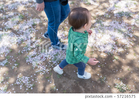 Image photo 57216575