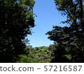 Trees and blue sky (Hamamatsu Castle Park) Trees and blue sky (Hamamatsu Castle Park) 57216587