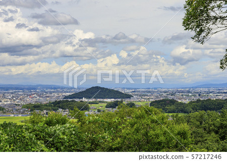 Sweet potato hill 57217246