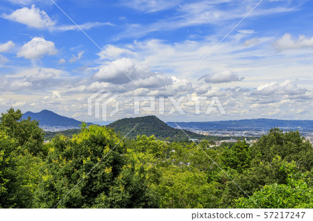 Sweet potato hill Sweet potato hill 57217247