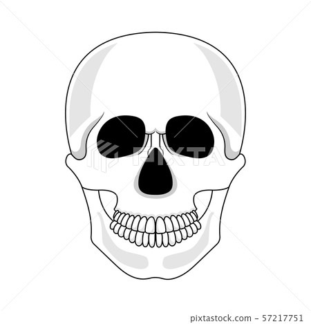Skull isolated on white background 57217751