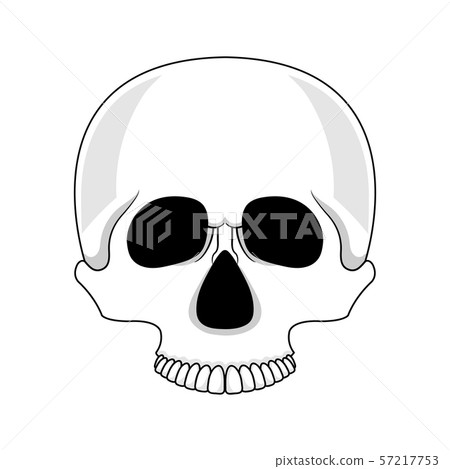 Skull isolated on white background Skull isolated on white background 57217753