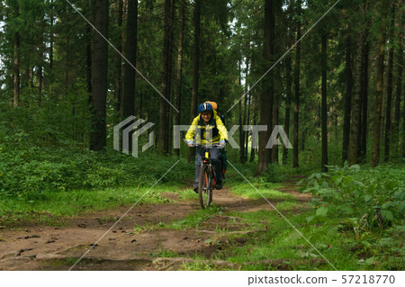 bikepacker in the autumn forest bikepacker in the autumn forest 57218770