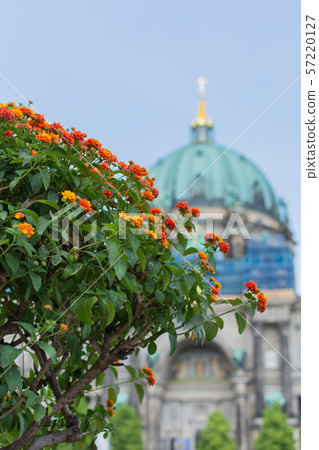 Flowers in the park Lustgarten 57220127