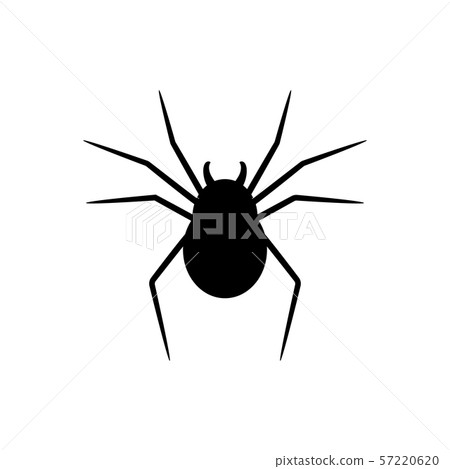 Black silhouette of spider isolated on white 57220620