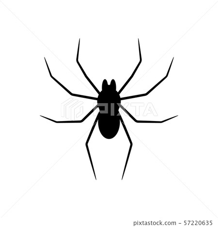 Black silhouette of spider isolated on white Black silhouette of spider isolated on white 57220635
