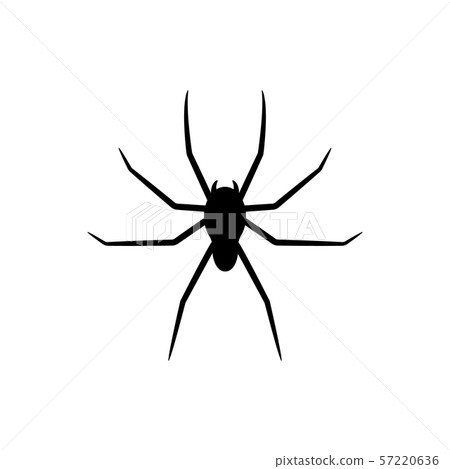 Black silhouette of spider isolated on white Black silhouette of spider isolated on white 57220636