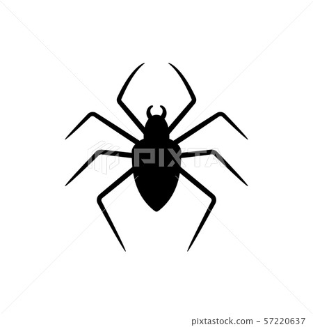 Black silhouette of spider isolated on white Black silhouette of spider isolated on white 57220637