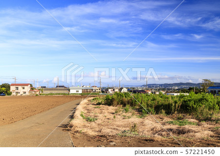 Field (autumn) 57221450