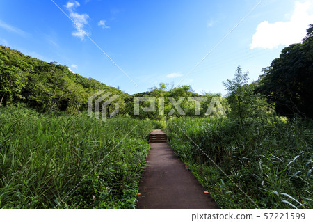 Koamishiro Forest(秋季) Koamishiro Forest(秋季) 57221599