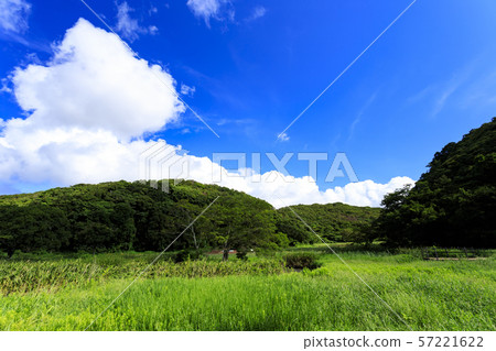Koamishiro Forest (Autumn) Koamishiro Forest (Autumn) 57221622