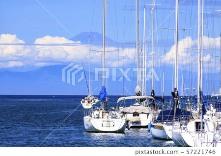 入江 入江 57221746