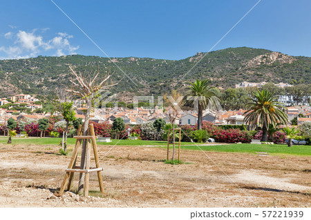 Landscape with cemetery. Ajaccio, Corsica island, Landscape with cemetery. Ajaccio, Corsica island, 57221939
