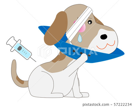 Dog being treated at a veterinary hospital Dog being treated at a veterinary hospital 57222234