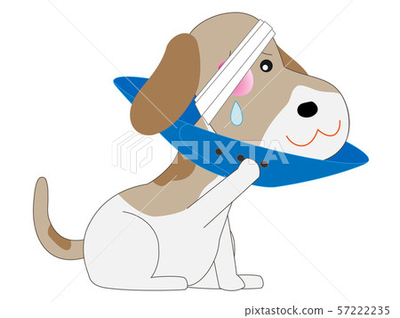 Dog being treated at a veterinary hospital Dog being treated at a veterinary hospital 57222235