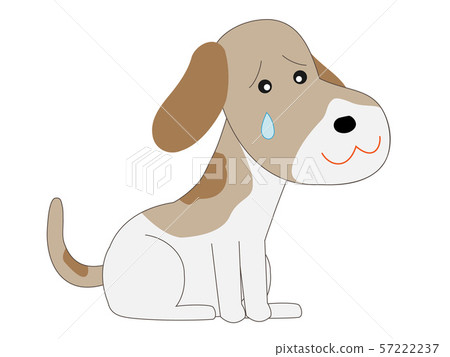 Dog being treated at a veterinary hospital Dog being treated at a veterinary hospital 57222237